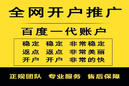 竞价排名在电商行业的实战案例
